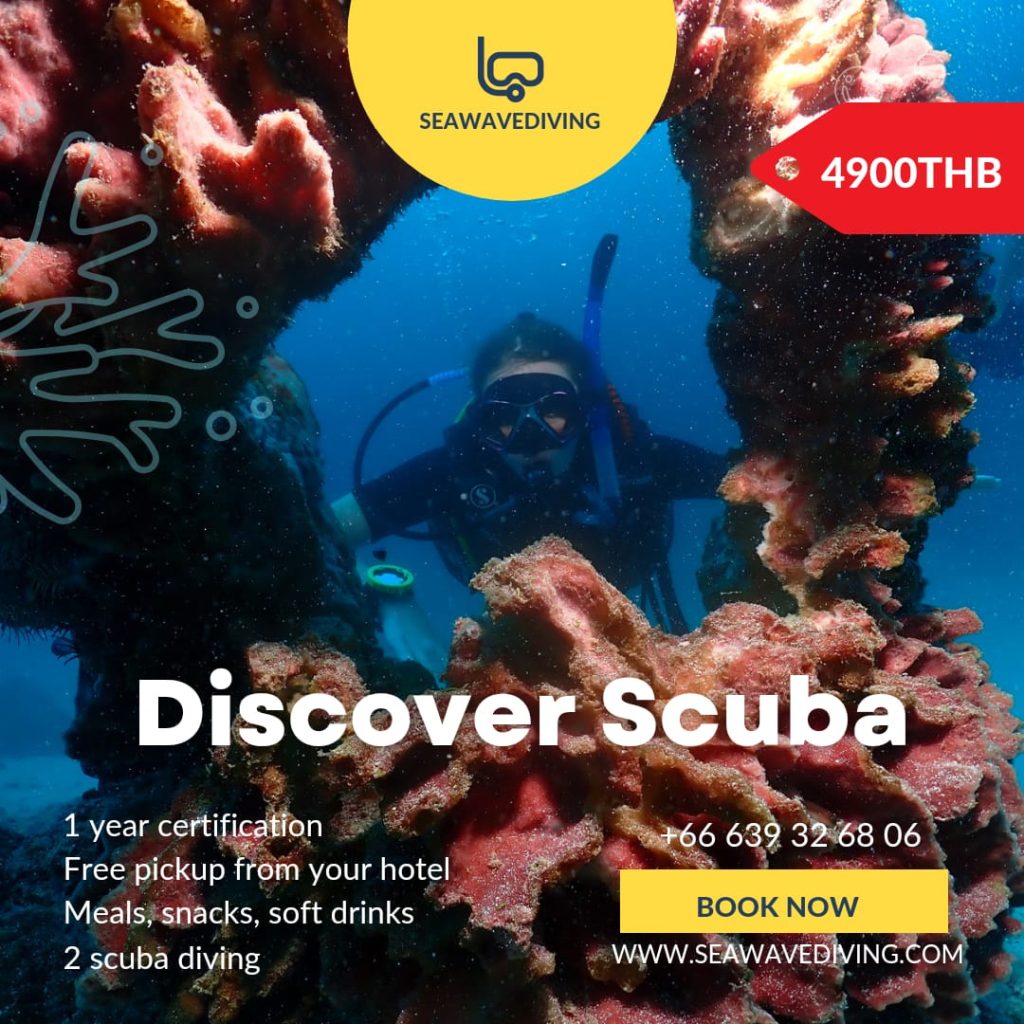 Padi Discover Scuba Diving