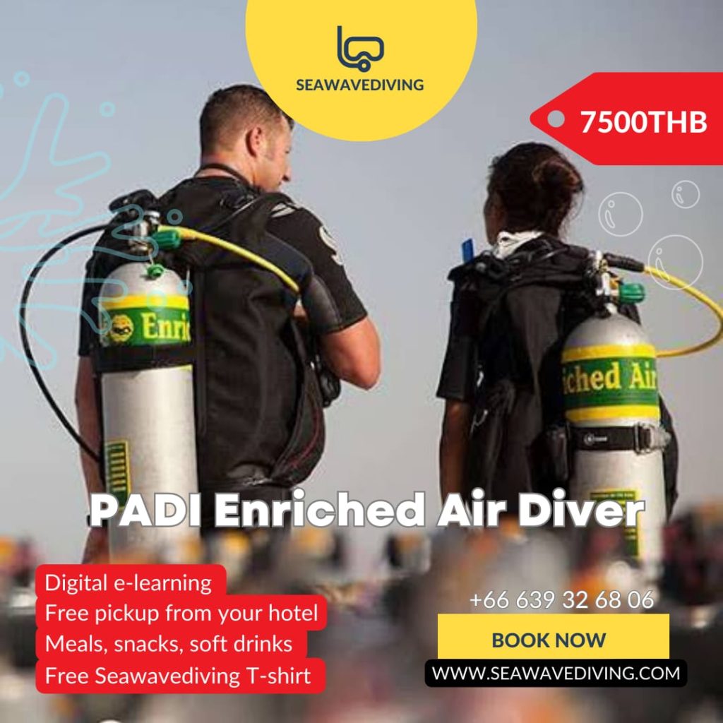 Certified diver holding a Nitrox tank labeled EANx32