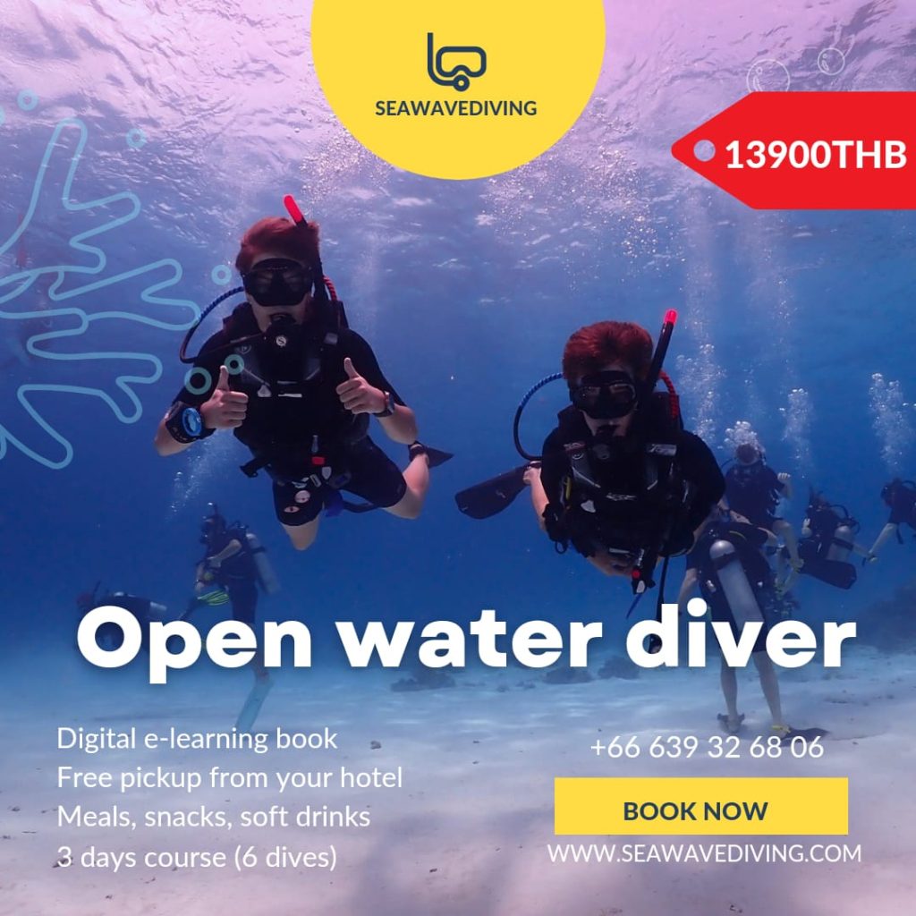 Beginner diver swimming alongside reef fish on training dive in Phuket