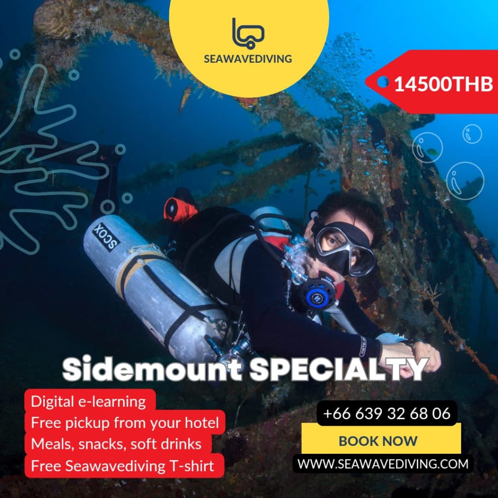 Sidemount diver with twin tanks hovering in trim position over coral reef"