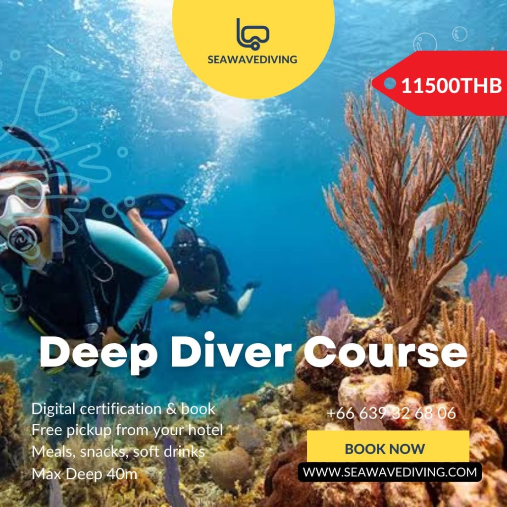 Group of divers setting up tanks and gear on boat for Deep and Nitrox specialty dives"