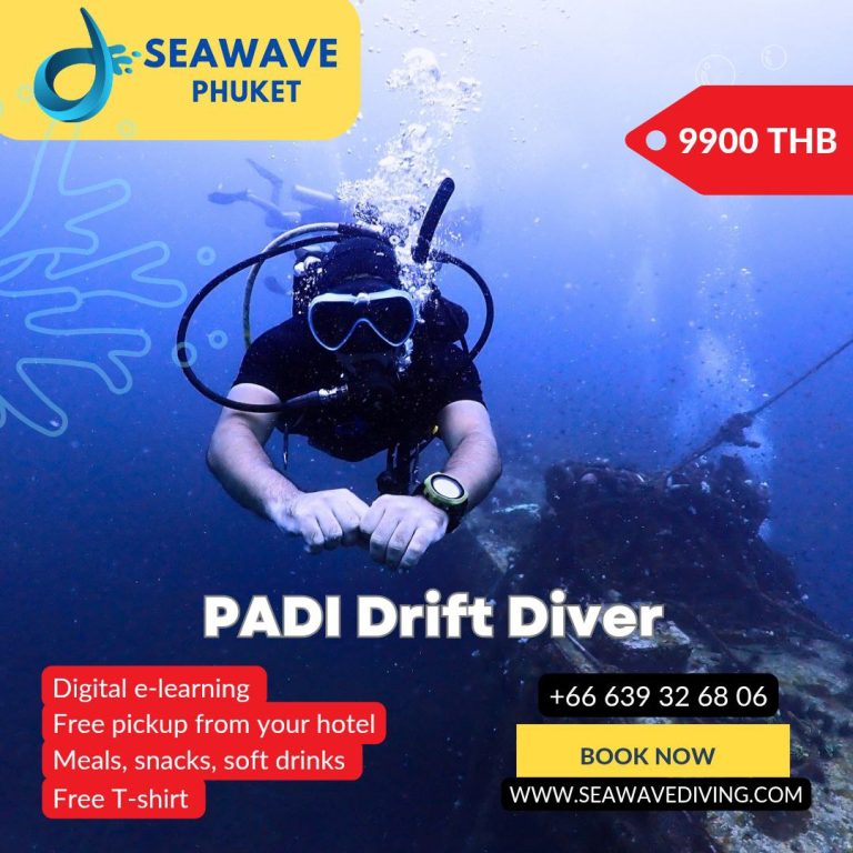 Group of divers drifting past coral at Shark Point in Phuket