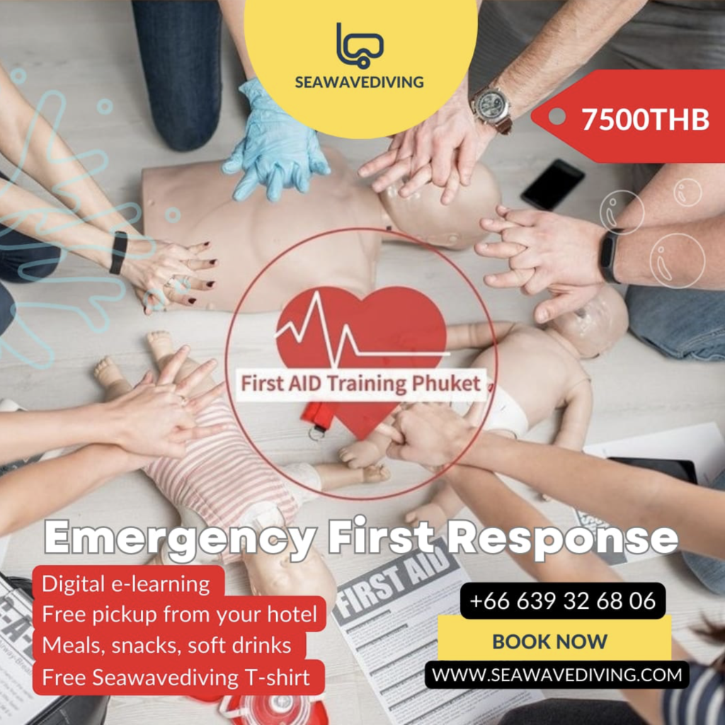 Emergency First Response (EFR) training poster showing CPR practice, first aid icons, and course details.