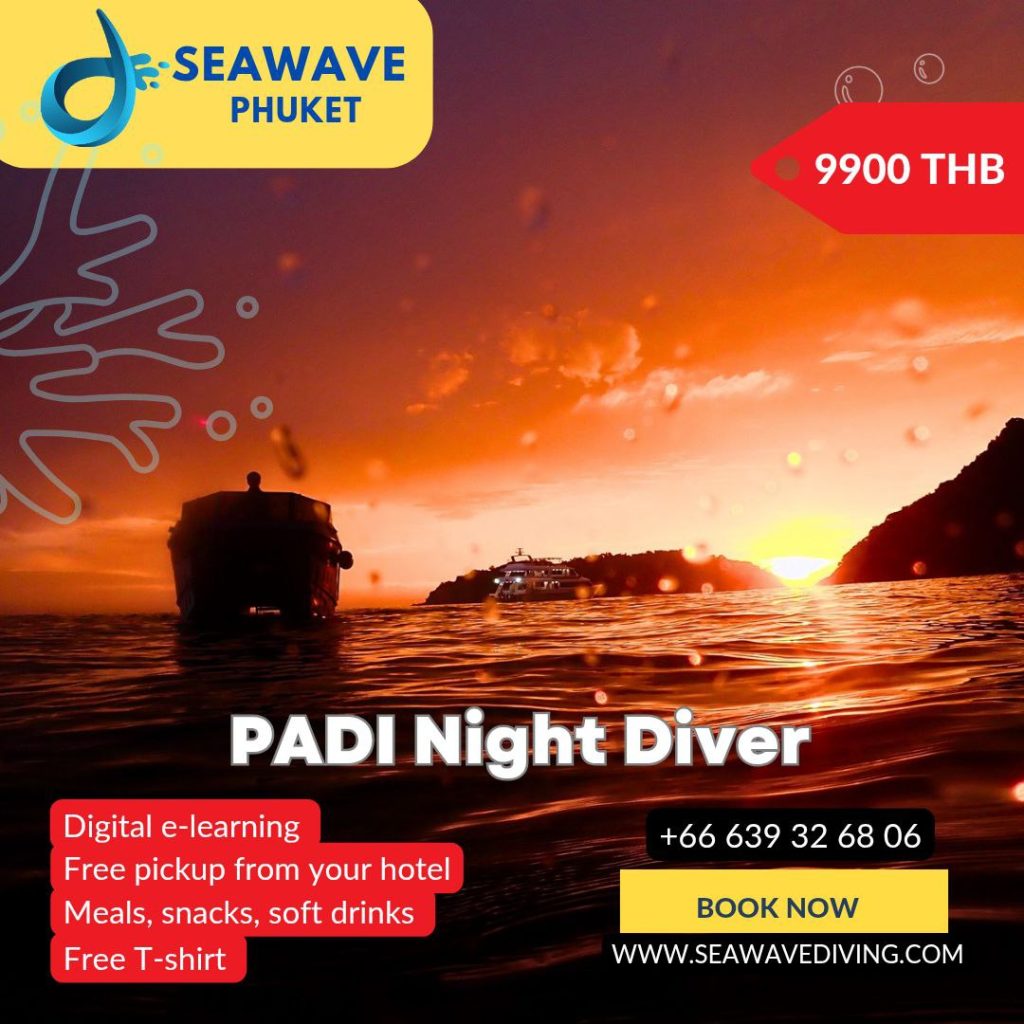 Team of night divers descending into the ocean with torches